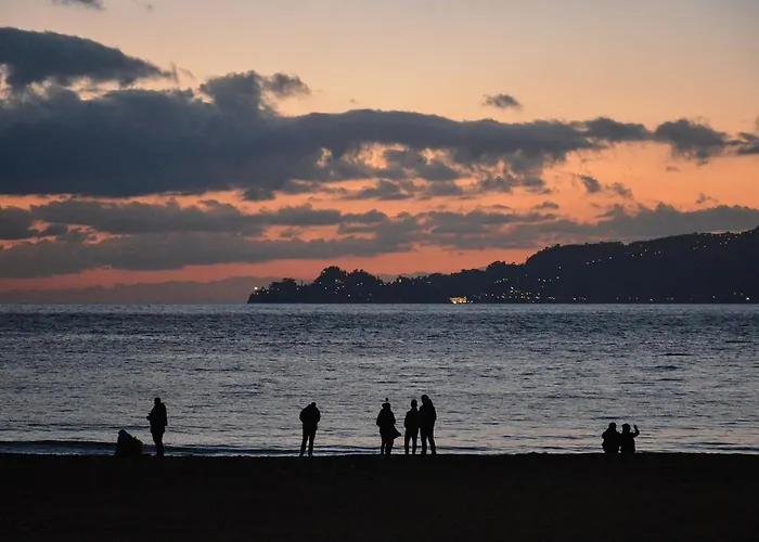 公寓 Chiavari Beach 基亚瓦里